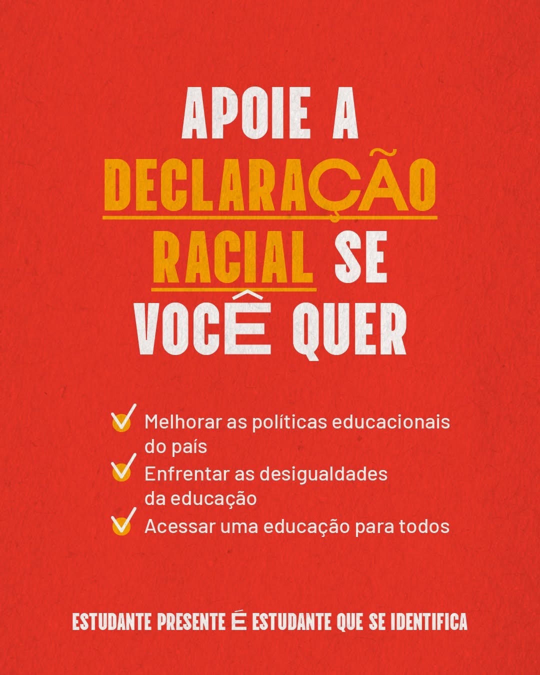 Campanha Declaração Racial - Conteúdo 3